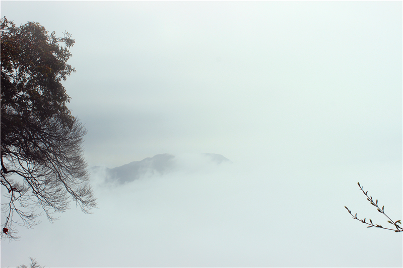 IMG_3572.jpg IMG_3572.jpg