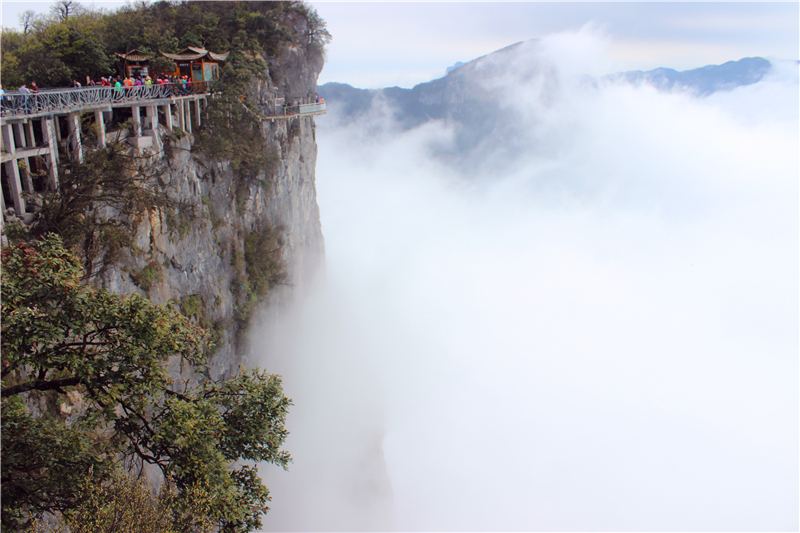 IMG_3578.jpg IMG_3578.jpg