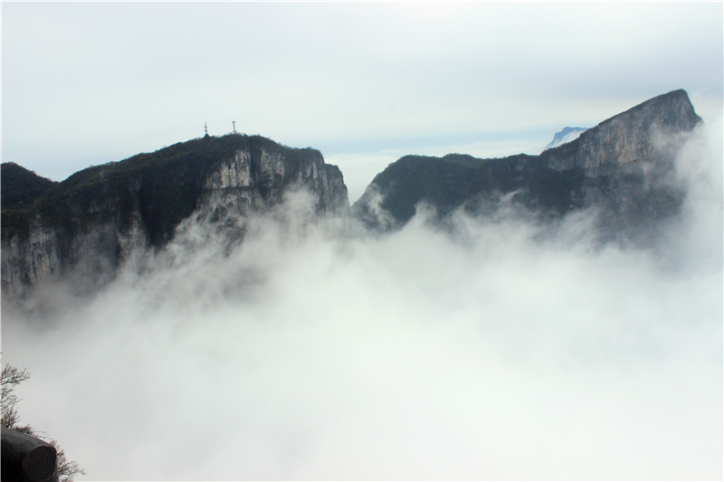 IMG_3612.jpg IMG_3612.jpg