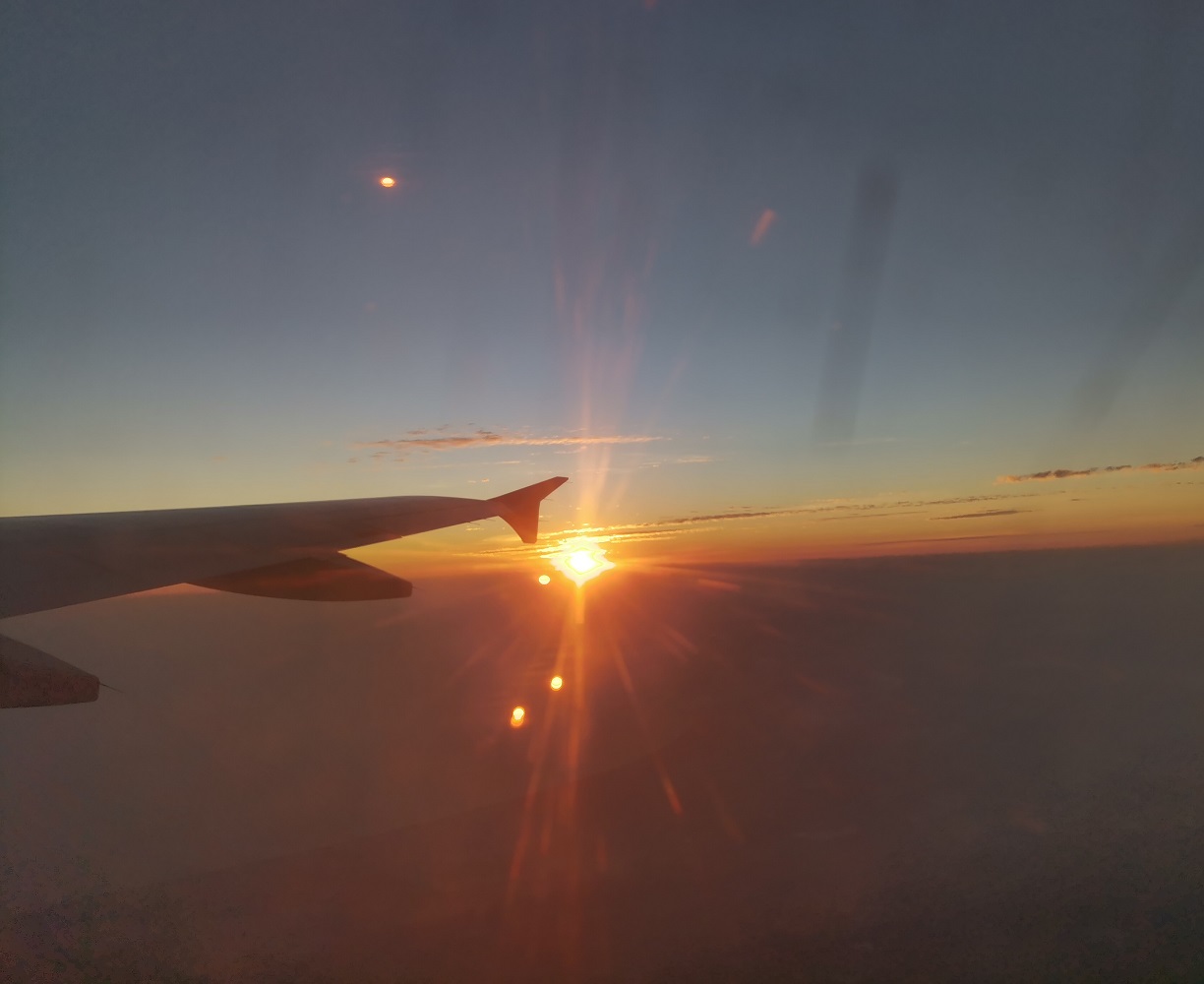 IMG_20211114_064238.jpg IMG_20211114_064238.jpg