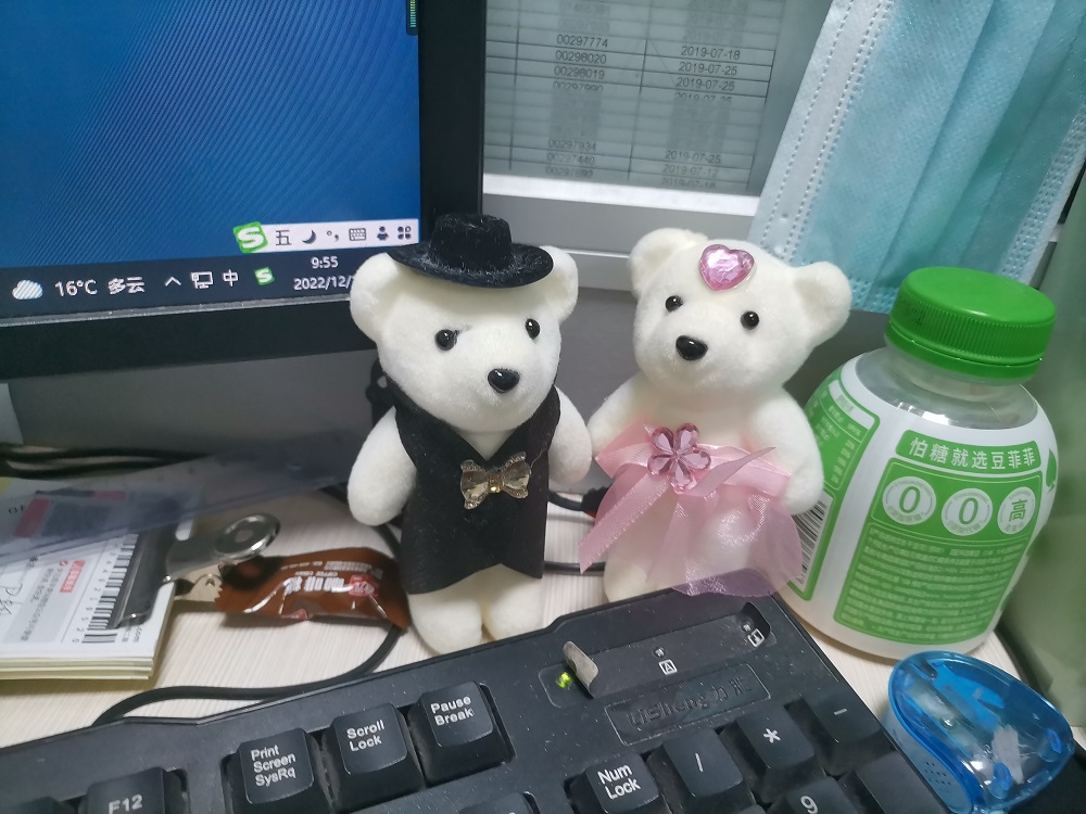 IMG_20221201_095555.jpg IMG_20221201_095555.jpg